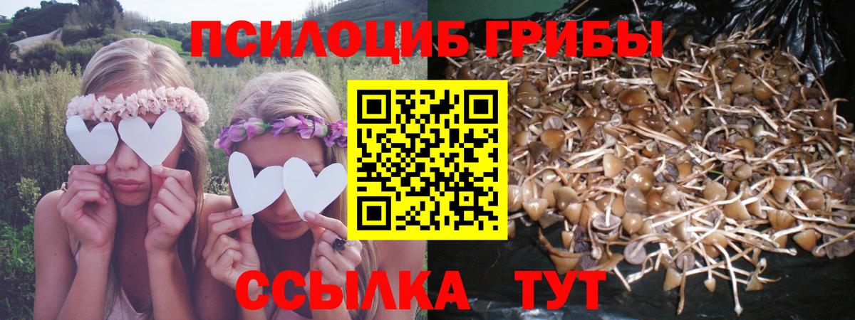 Псилоцибиновые грибы Magic Shrooms Переславль-Залесский