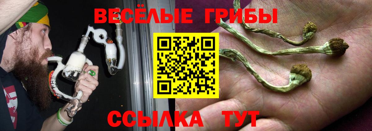 Псилоцибиновые грибы мицелий  Вход с VPN  Переславль-Залесский 